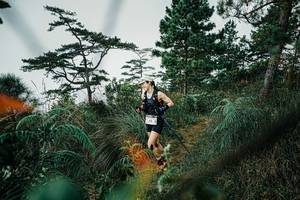 BIB: 
                            <button type="button" onclick="openModal(25258157)" class="btn btn-primary btn-sm float-right btn-popup" data-toggle="modal" data-target=".modal-high-quality">
                        <i class="fas fa-shopping-cart"></i> Add to Cart
                    </button>
                                            <button type="button" onclick="isThisMe(25258157, true)" class="btn btn-success btn-sm float-right btn-popup btn-isme hidden" data-toggle="tooltip" data-placement="bottom" title="นี่คือรูปของคุณใช่ไหม คลิกที่นี่เพื่อเอาเข้าอัลบั้ม">
                        <i class="fas fa-plus"></i> Add to album
                    </button>
                    <button type="button" onclick="isThisMe(25258157, false)" class="btn btn-warning btn-sm float-right btn-popup btn-isnotme hidden">
                        <i class="fas fa-ban"></i> Remove from album
                    </button>